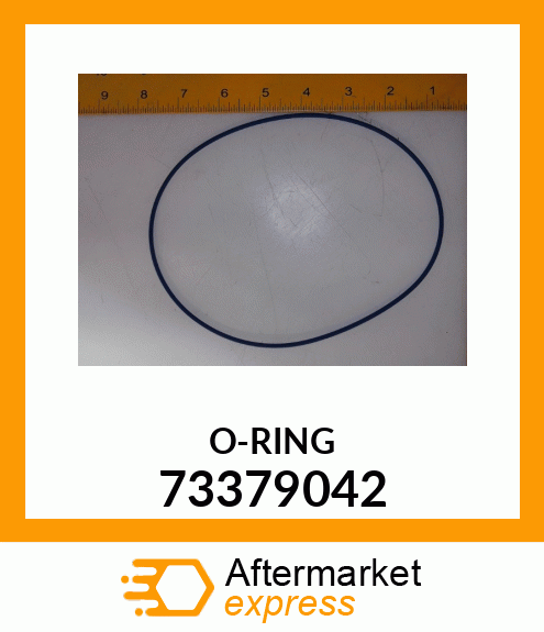 O-RING 73379042