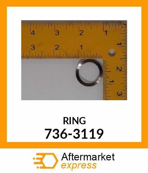 RING 736-3119