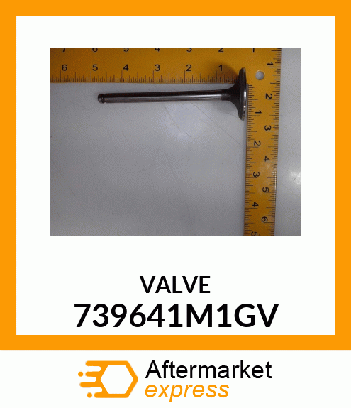 VALVE 739641M1GV