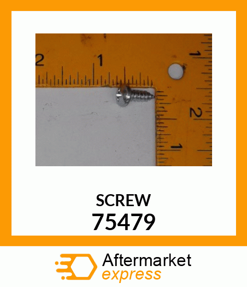 SCREW 75479