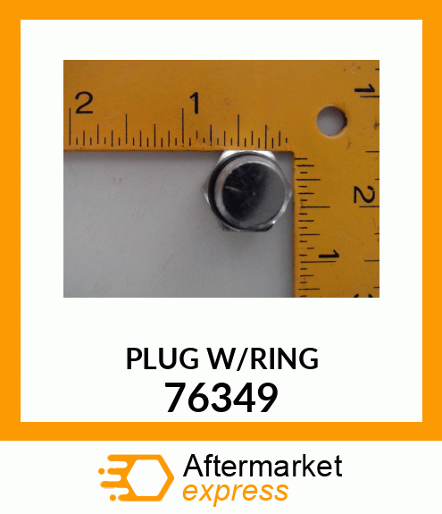 PLUG W/RING 76349