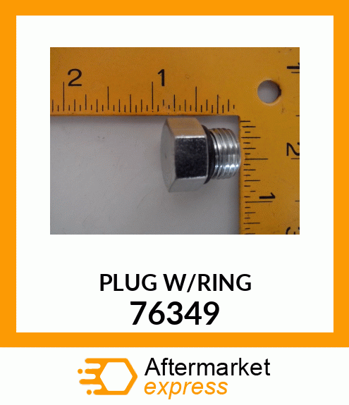 PLUG W/RING 76349