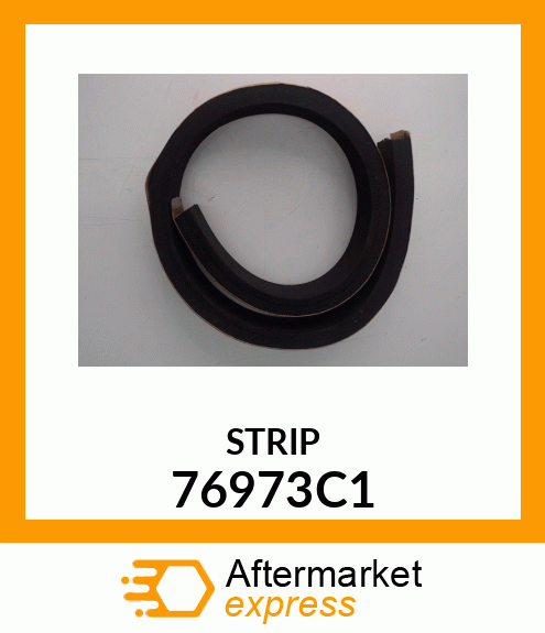 STRIP 76973C1