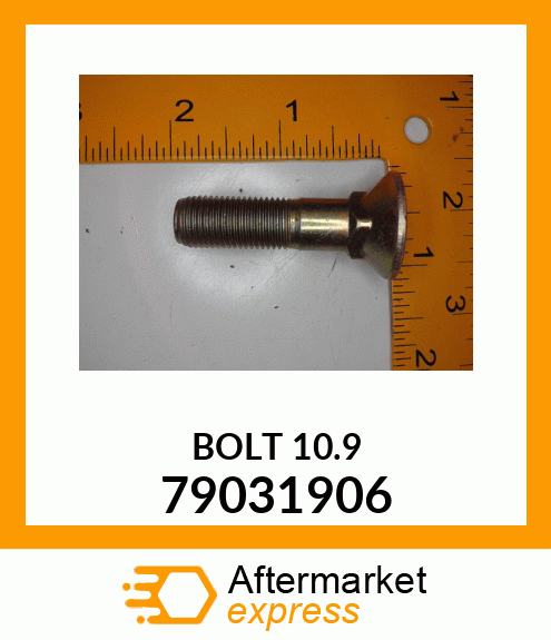 BOLT 10.9 79031906