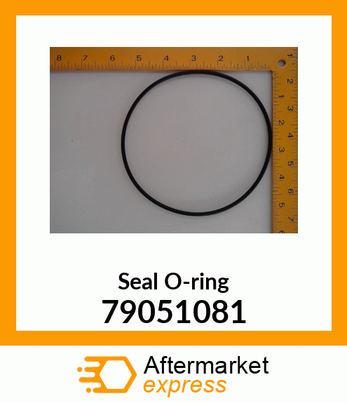 Seal O-ring 79051081