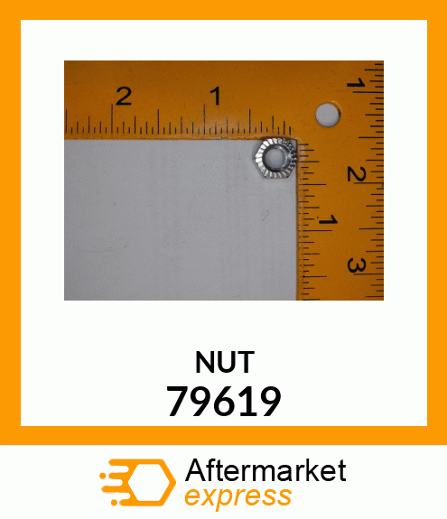 NUT 79619