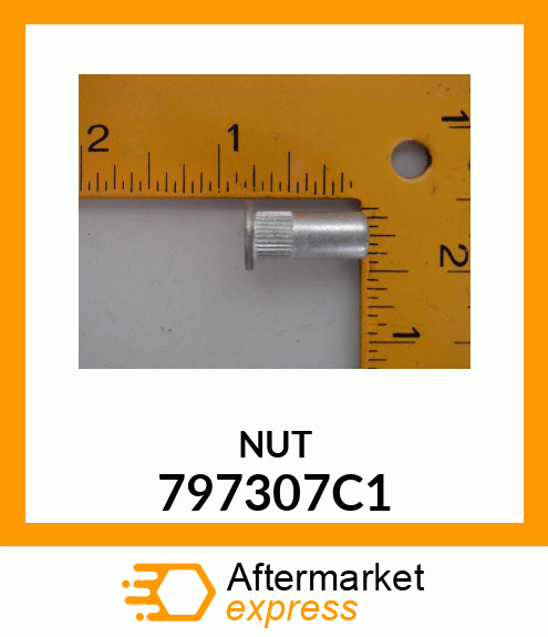 NUT 797307C1