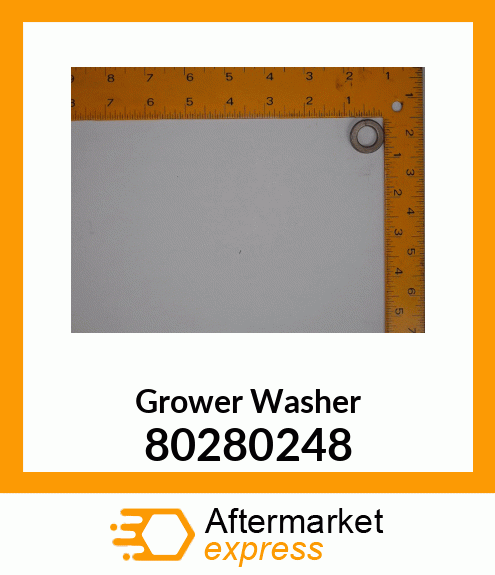 Grower Washer 80280248