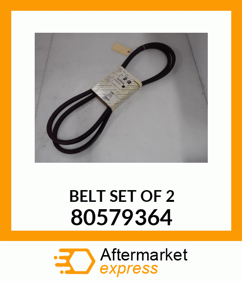 BELT SET OF 2 80579364