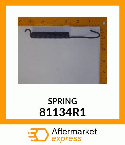 SPRING 81134R1