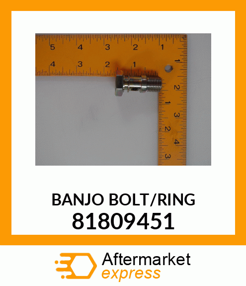 BANJO BOLT/RING 81809451
