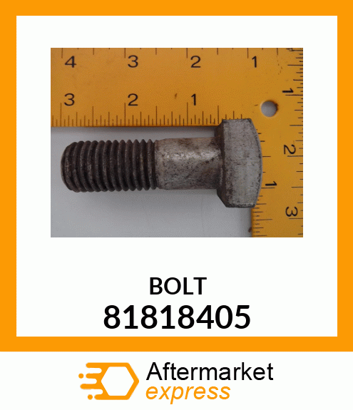 BOLT 81818405