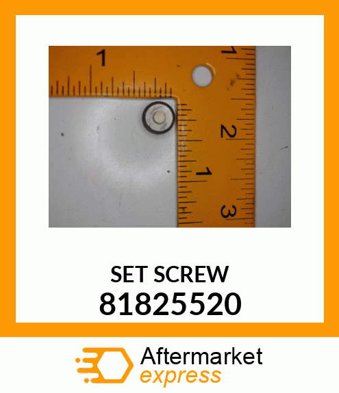 SET SCREW 81825520