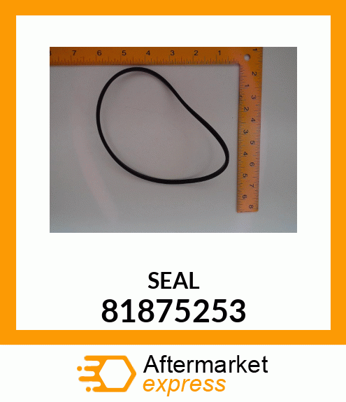 Seal D Ring 81875253