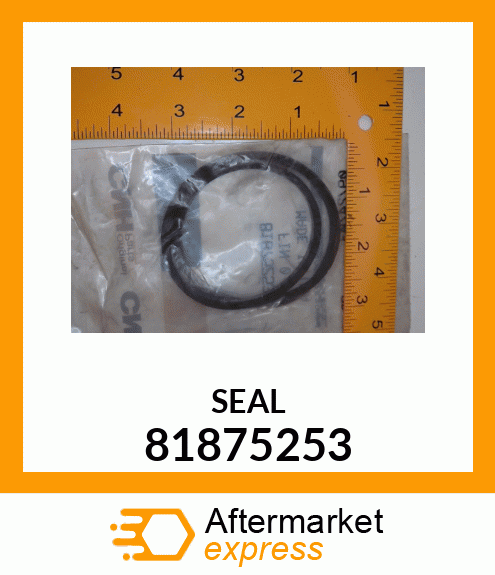 Seal D Ring 81875253