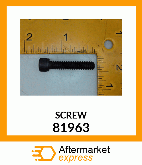 SCREW 81963