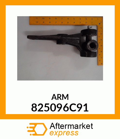 ARM 825096C91