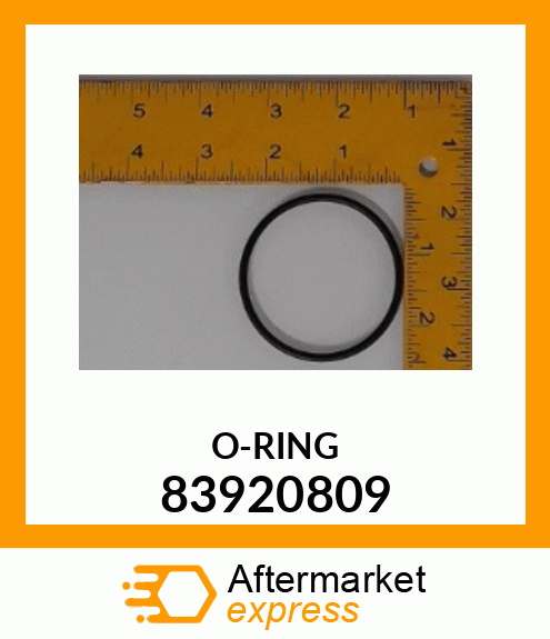 O-RING 83920809