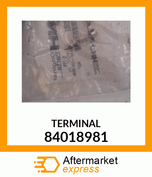 TERMINAL 84018981