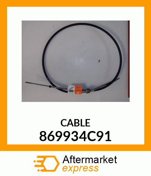 CABLE 869934C91