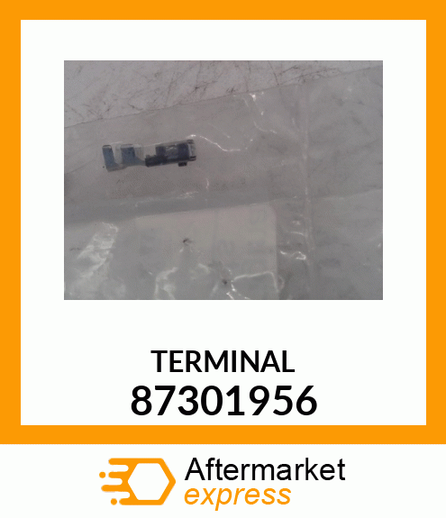 TERMINAL 87301956