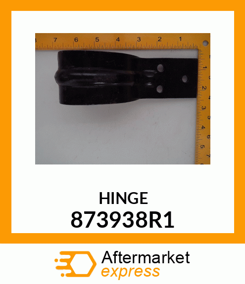 HINGE 873938R1