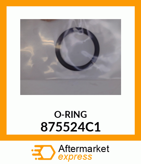 O-RING 875524C1