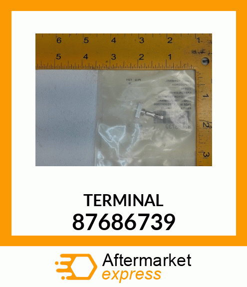 TERMINAL 87686739