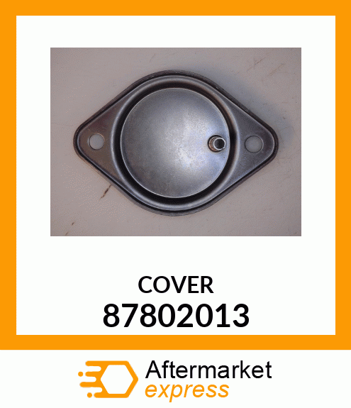 COVER 87802013