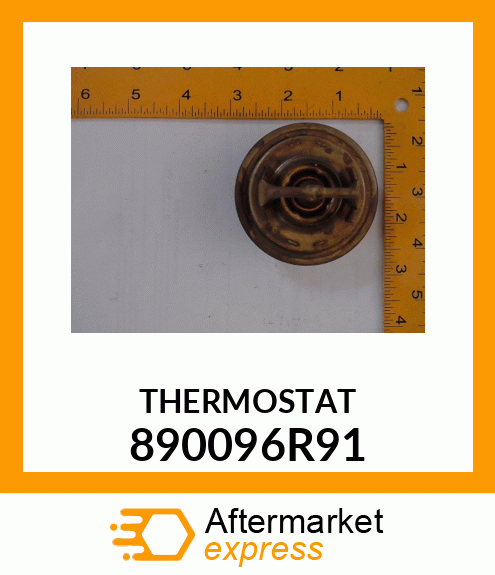 THERMOSTAT 890096R91