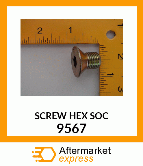 SCREW HEX SOC 9567