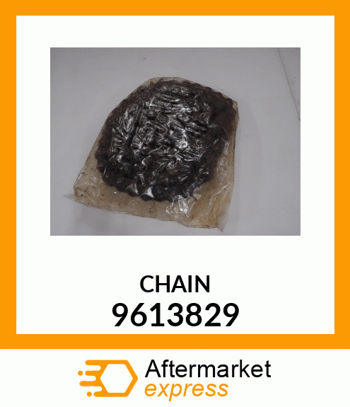 CHAIN 9613829