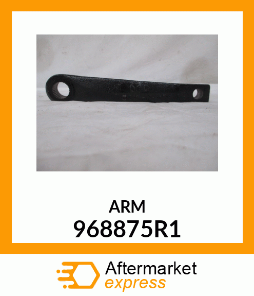 ARM 968875R1