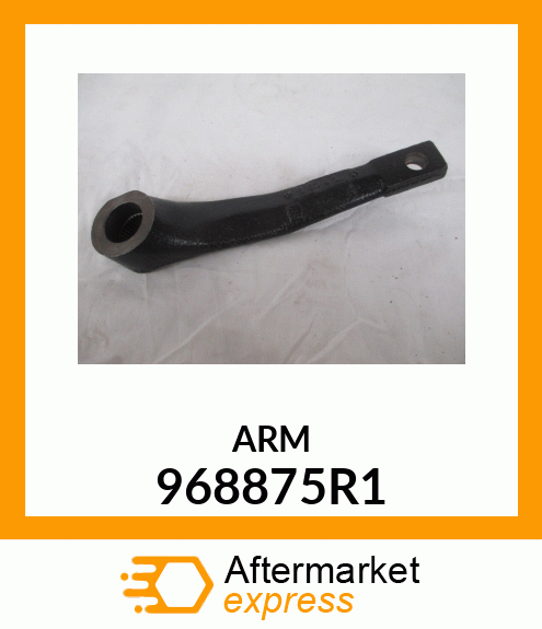 ARM 968875R1