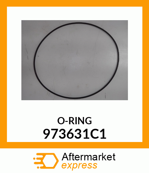 O-RING 973631C1