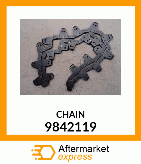 CHAIN 9842119