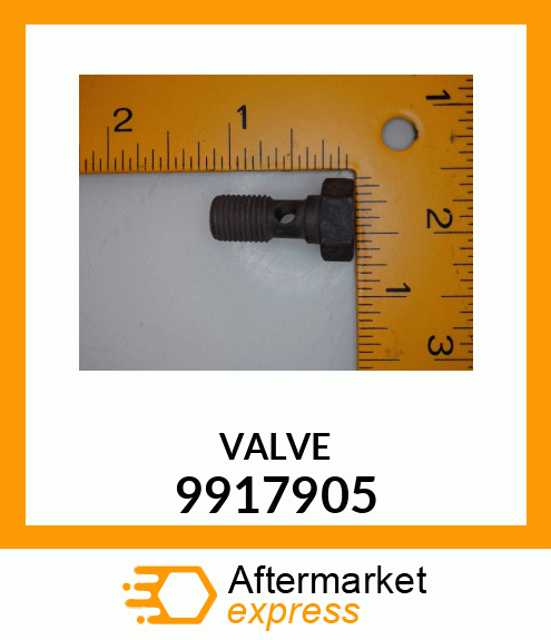 VALVE 9917905