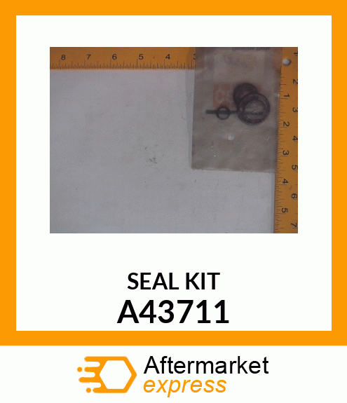 SEAL KIT A43711