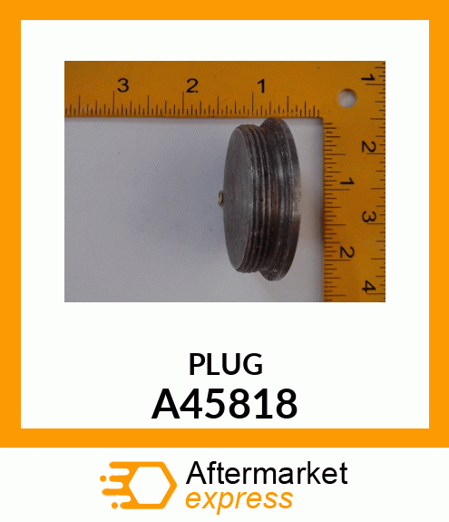 PLUG A45818