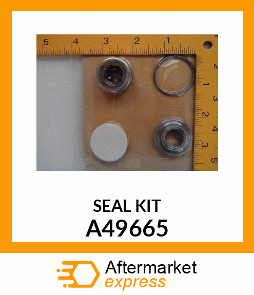 SEAL KIT A49665