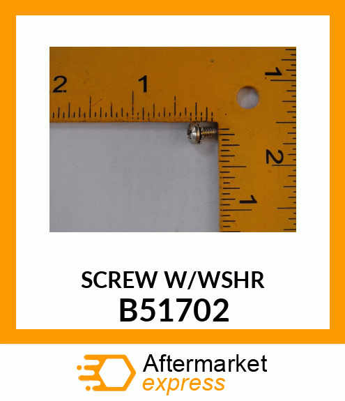 SCREW W/WSHR B51702