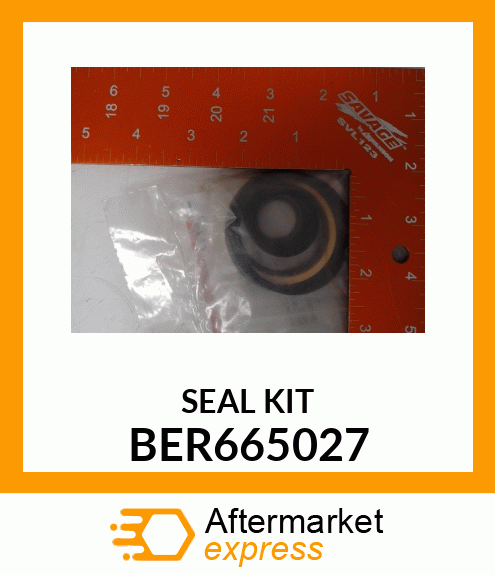 SEAL KIT BER665027