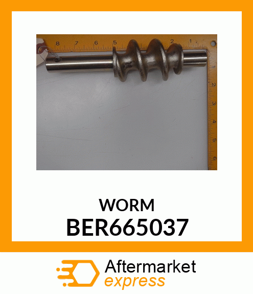 WORM BER665037