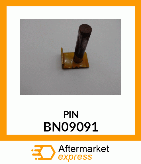 PIN BN09091