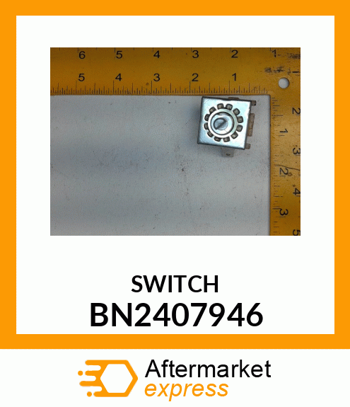 SWITCH BN2407946