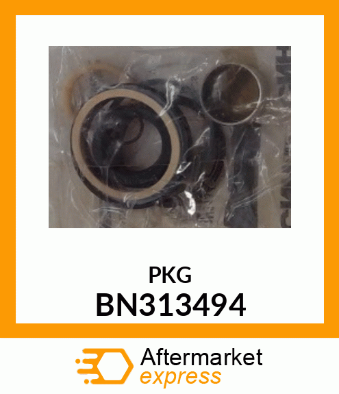 PKG BN313494