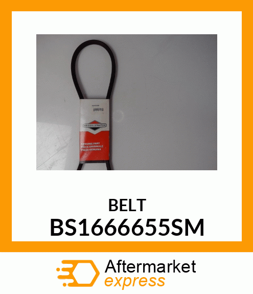 BELT BS1666655SM