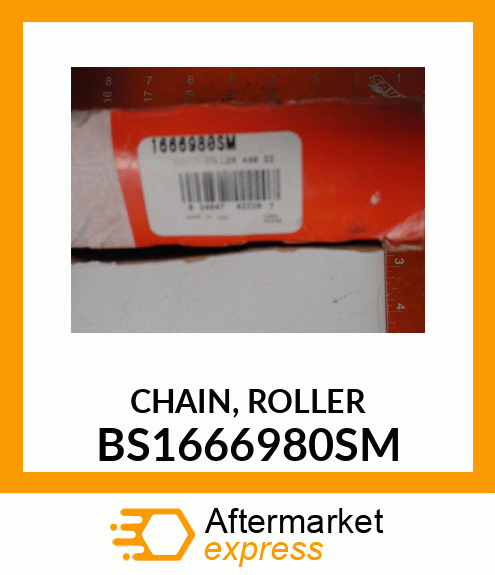 CHAIN, ROLLER BS1666980SM