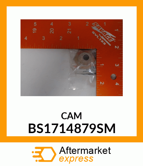 CAM BS1714879SM