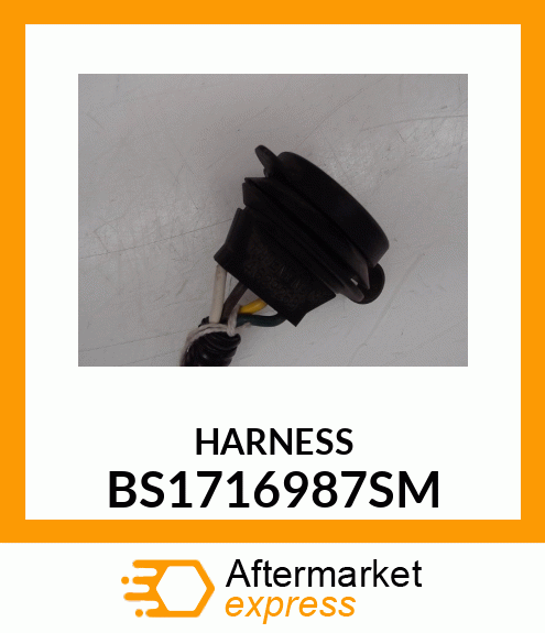 HARNESS BS1716987SM